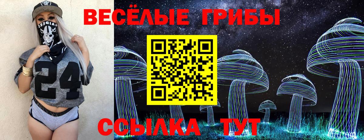 Псилоцибиновые грибы Psilocybine cubensis  Вход с VPN  Галлюциногенные грибы прущие грибы  Керчь 