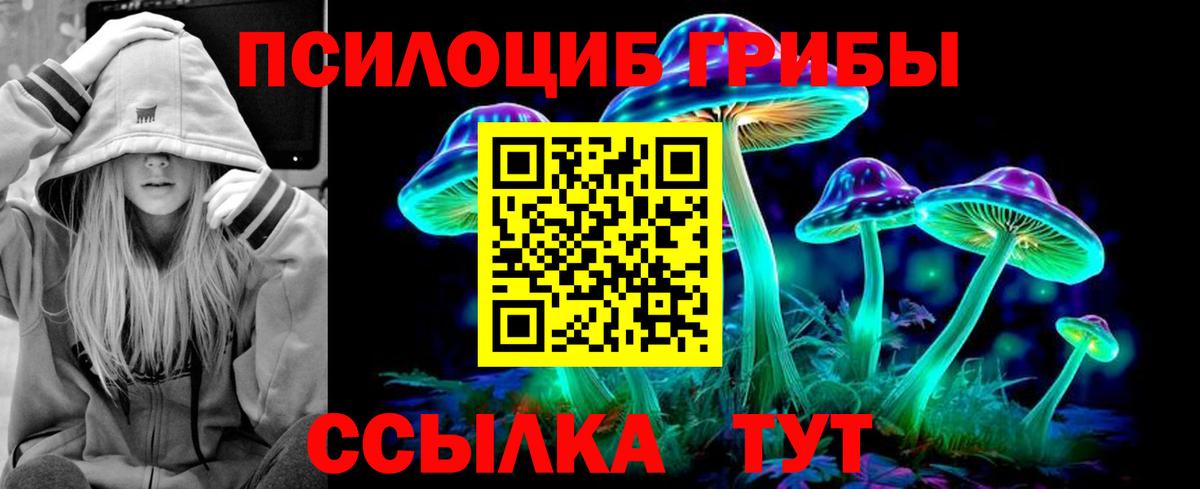 Галлюциногенные грибы Psilocybine cubensis Керчь